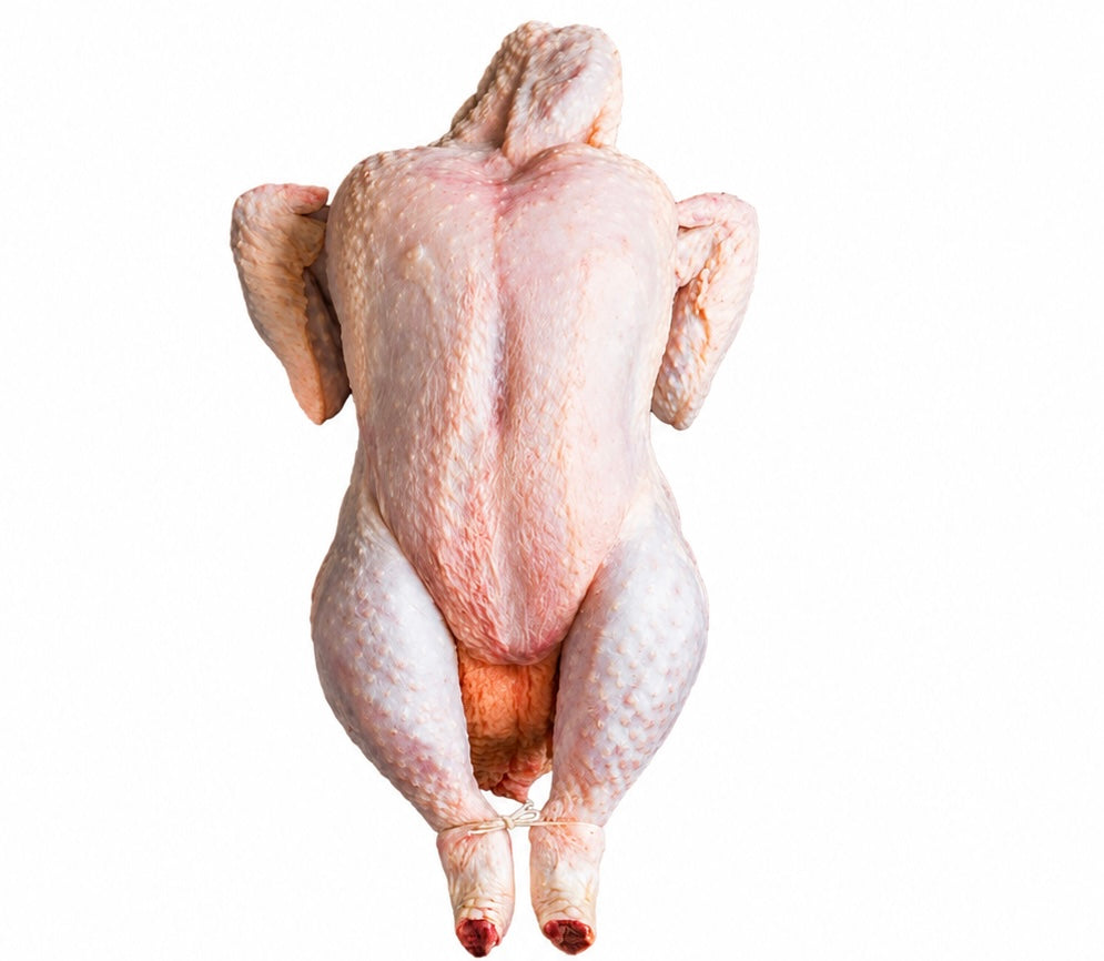 Gallina pesada