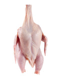 Perdiz